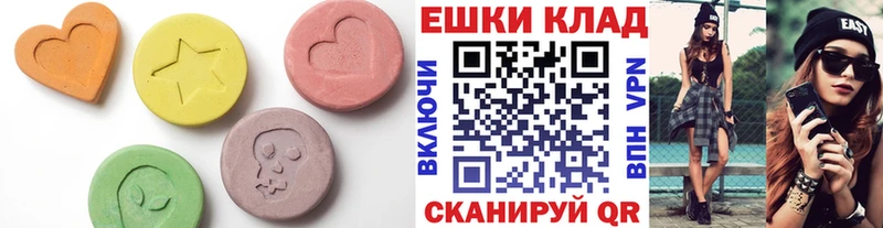 ЭКСТАЗИ диски  купить наркотики цена  Пионерский 