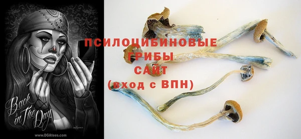 кокаин перу Богданович