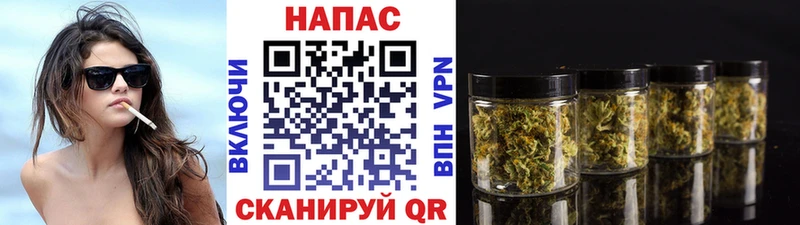 хочу наркоту  Пионерский  Шишки марихуана Bruce Banner 